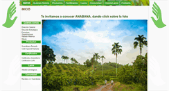 Desktop Screenshot of lazosnet.com